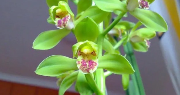 网络配图 网络配图