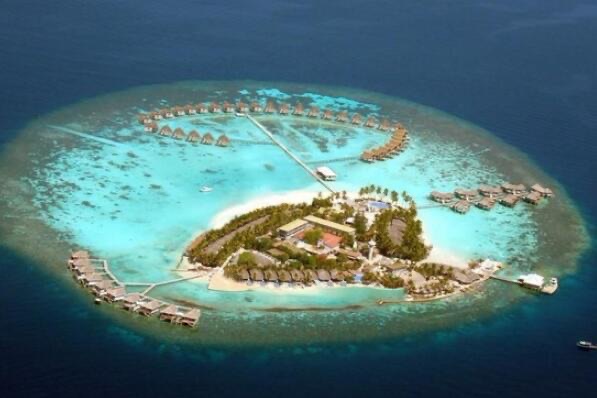 网络图片(侵删) 网络图片(侵删)