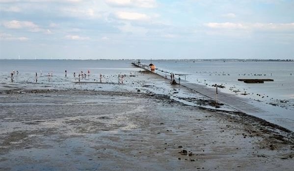 网络图片(侵删) 网络图片(侵删)