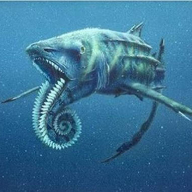 网络图片(侵删) 网络图片(侵删)