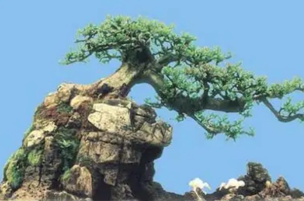 网络图片(侵删) 网络图片(侵删)