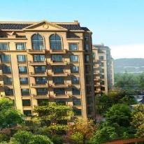 网络图片(侵删) 网络图片(侵删)