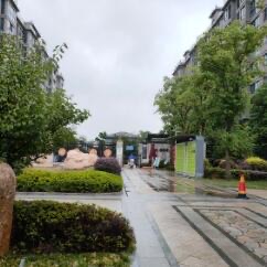 网络图片(侵删) 网络图片(侵删)