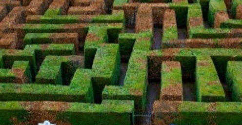 网络配图 网络配图