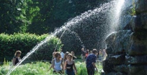 网络配图 网络配图