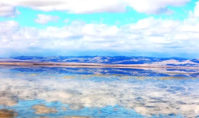 网络图片(侵删) 网络图片(侵删)