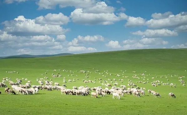 网络图片(侵删) 网络图片(侵删)