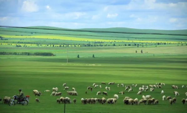 网络图片(侵删) 网络图片(侵删)