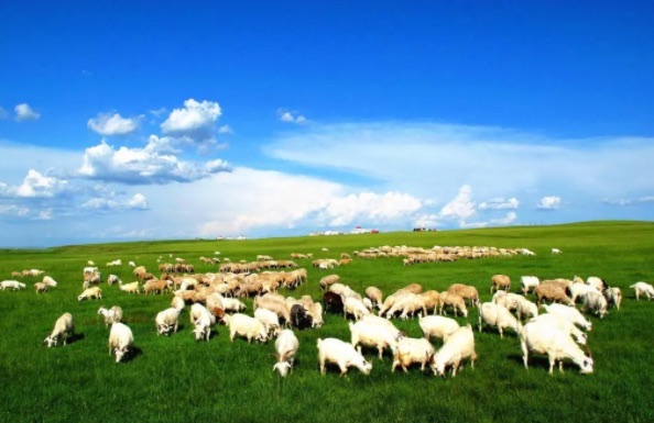 网络图片(侵删) 网络图片(侵删)