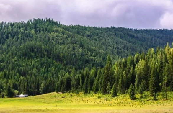 网络图片(侵删) 网络图片(侵删)
