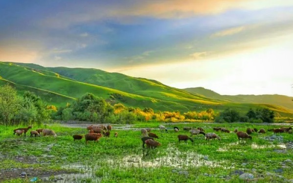 网络图片(侵删) 网络图片(侵删)