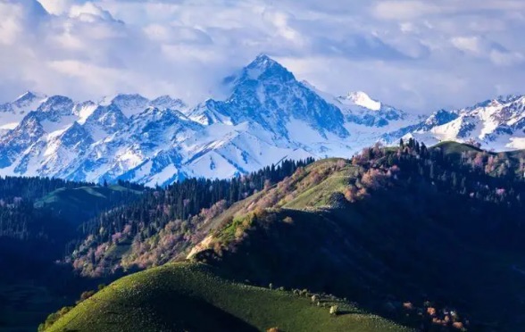 网络图片(侵删) 网络图片(侵删)