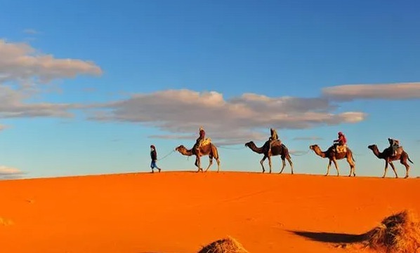 网络图片(侵删) 网络图片(侵删)