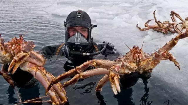 网络图片(侵删) 网络图片(侵删)