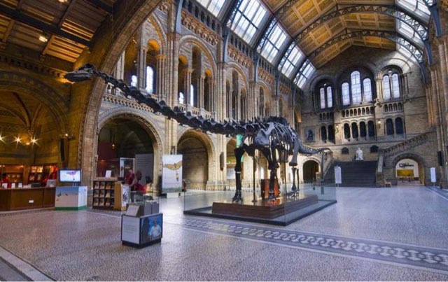 网络图片(侵删) 网络图片(侵删)