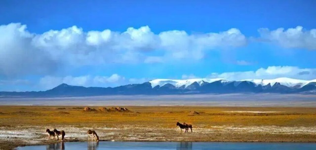 网络图片(侵删) 网络图片(侵删)