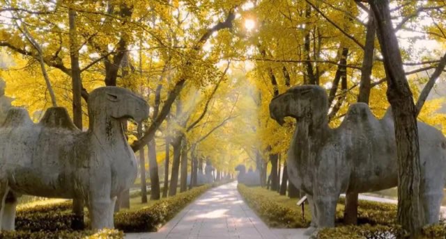 网络图片(侵删) 网络图片(侵删)