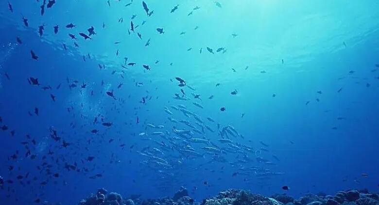 网络图片(侵删) 网络图片(侵删)