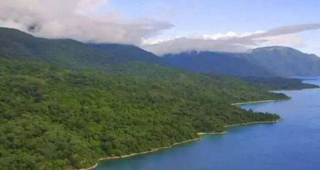 网络图片(侵删) 网络图片(侵删)