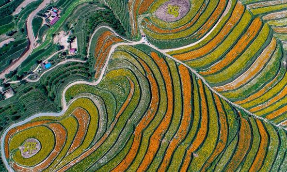 网络图片(侵删) 网络图片(侵删)