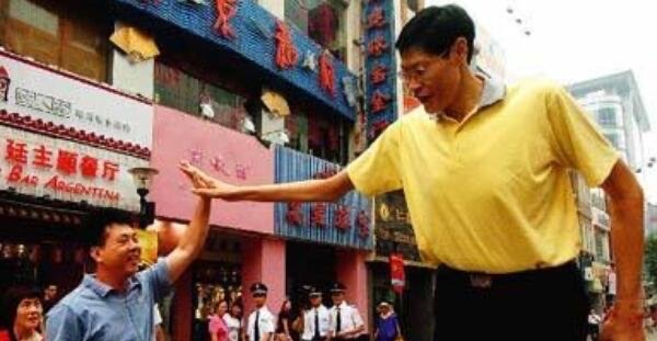 网络图片(侵删) 网络图片(侵删)