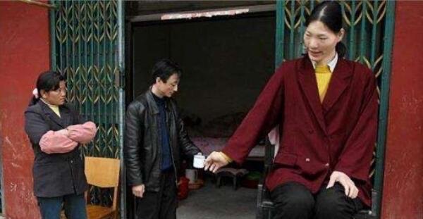 网络图片(侵删) 网络图片(侵删)