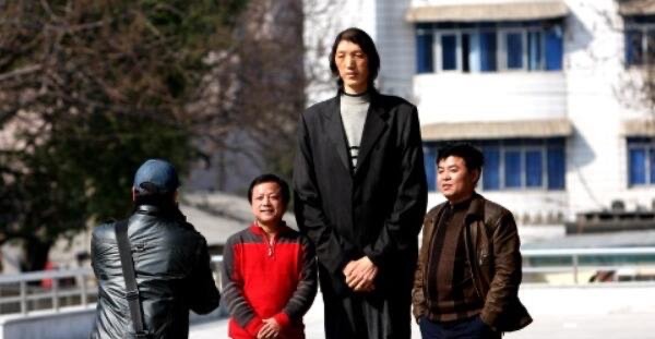 网络图片(侵删) 网络图片(侵删)