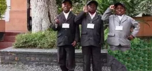 网络图片(侵删) 网络图片(侵删)