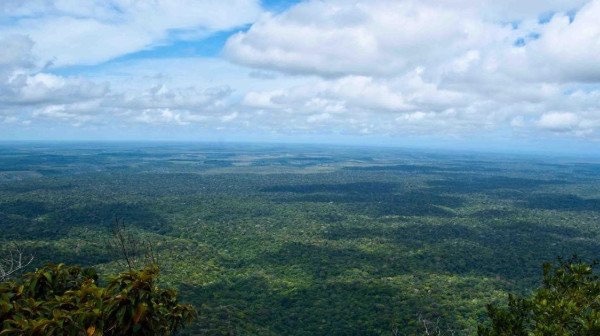 网络图片(侵删) 网络图片(侵删)