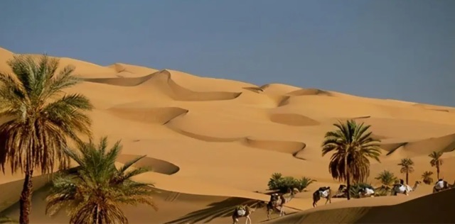 网络图片(侵删) 网络图片(侵删)