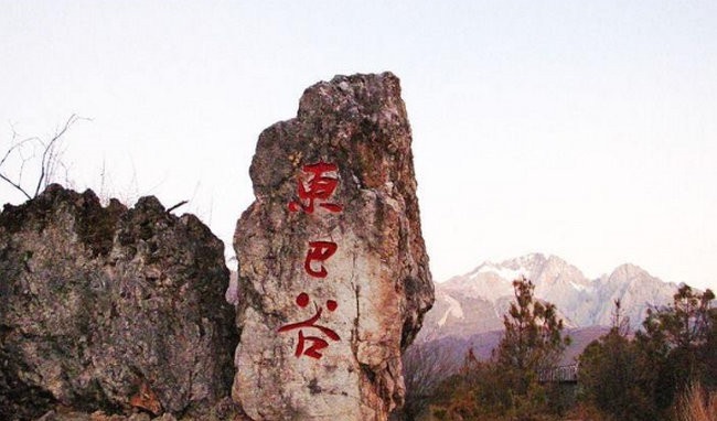 网络配图 网络配图