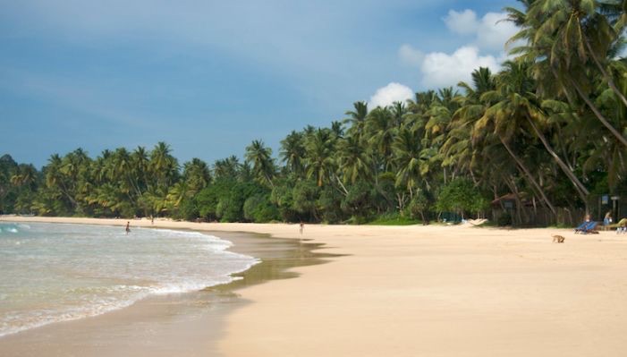 网络配图 网络配图