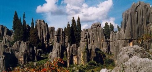 网络配图 网络配图