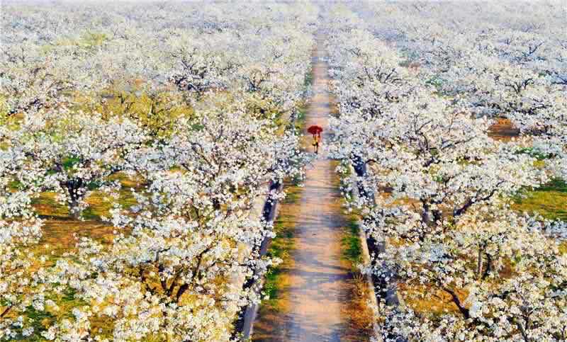 网络配图 网络配图