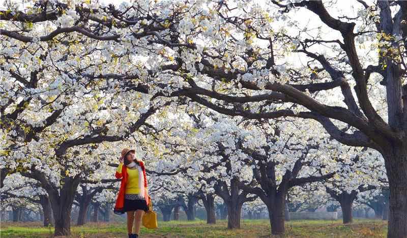 网络配图 网络配图