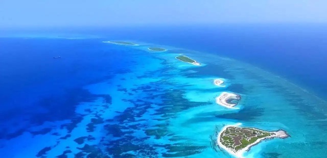 网络配图 网络配图