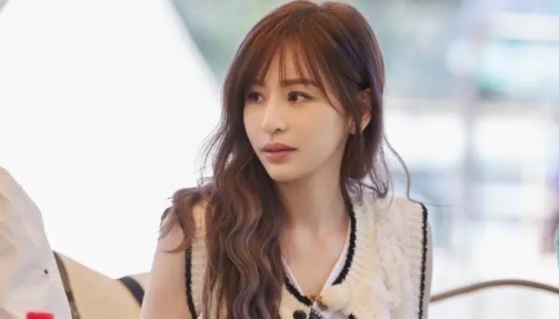 网络图片(侵删) 网络图片(侵删)