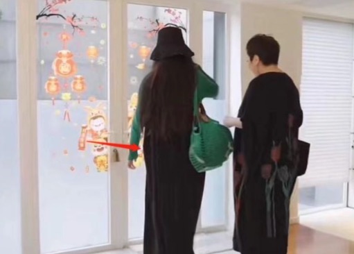 网络图片(侵删) 网络图片(侵删)