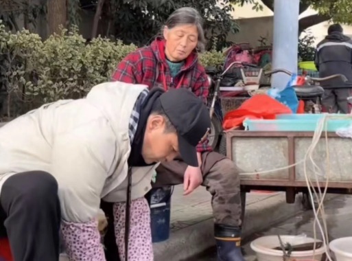 网络图片(侵删) 网络图片(侵删)