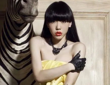 网络图片(侵删) 网络图片(侵删)