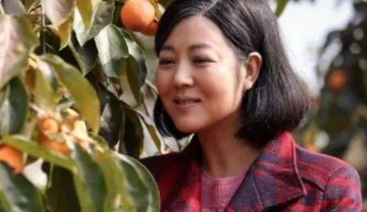 网络图片(侵删) 网络图片(侵删)