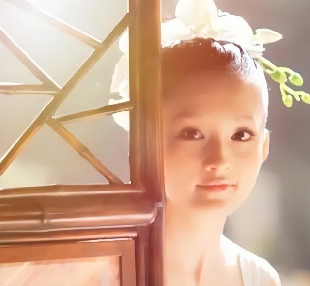 网络图片(侵删) 网络图片(侵删)