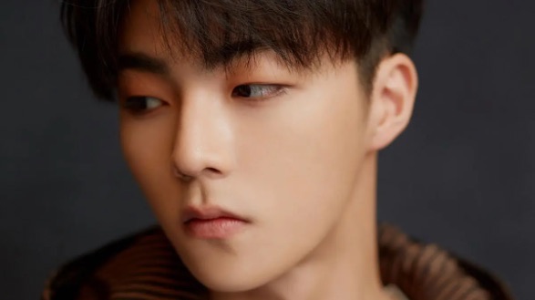 网络图片(侵删) 网络图片(侵删)