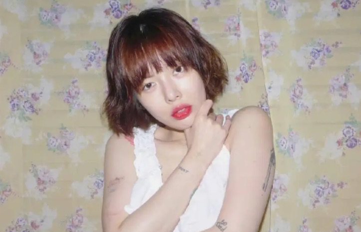 网络配图 网络配图