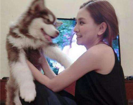 网络图片(侵删) 网络图片(侵删)