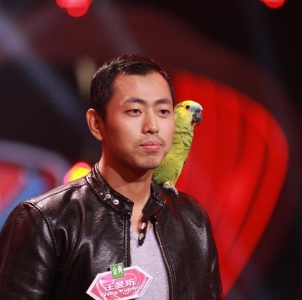 网络图片(侵删) 网络图片(侵删)