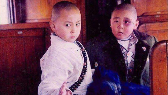 网络图片(侵删) 网络图片(侵删)