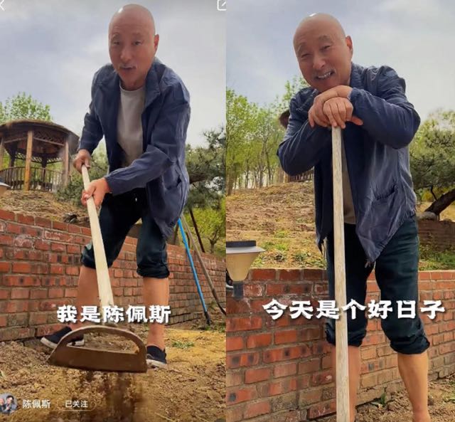 网络图片(侵删) 网络图片(侵删)