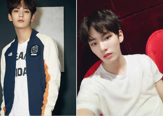 网络图片(侵删) 网络图片(侵删)