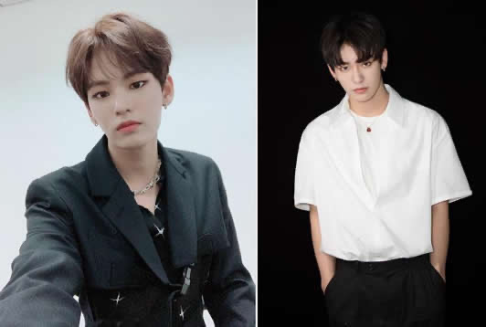 网络图片(侵删) 网络图片(侵删)